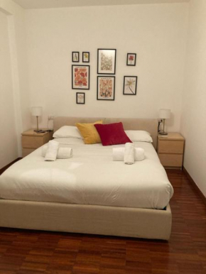 Accomodo MIT51 Trivano Cenisio Milano